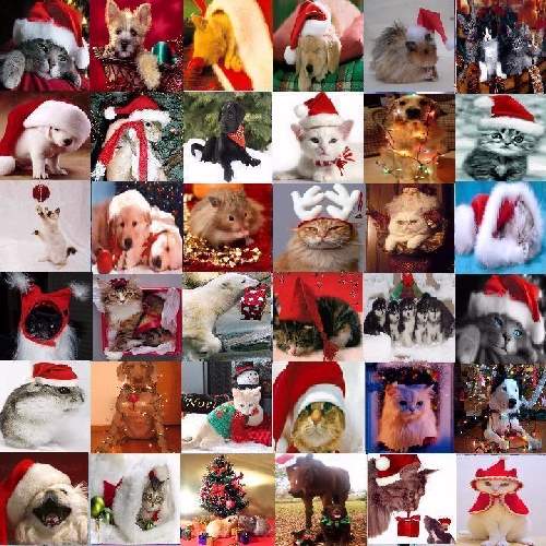 Shangrala's Christmas With Pets