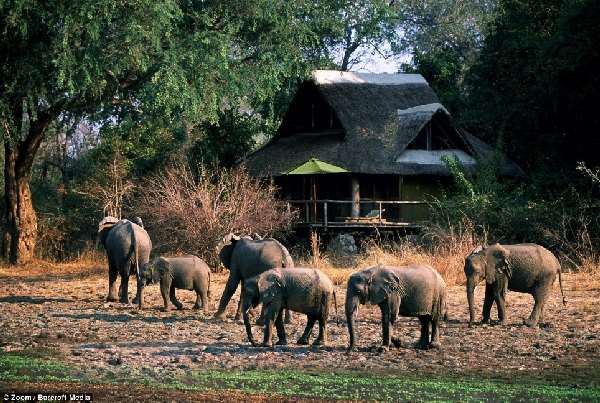 Shangrala's Elephant Hotel