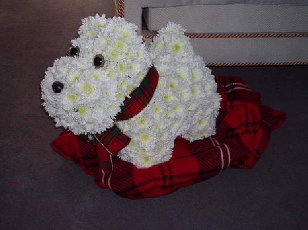 Shangrala's Flower Dog Art