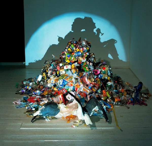 Shangrala's Trash Shadow Art