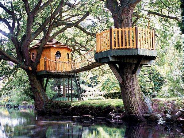 Shangrala's Awesome Tree Houses