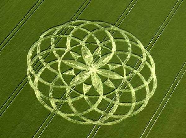 Shangrala's Crop Circles 2009