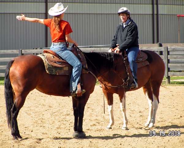 Shangrala's Amazing Horse Trainer
