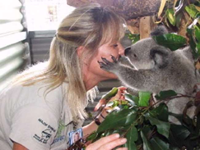 Shangrala's Koala Twins