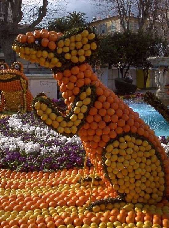Shangrala's Festival Of Citrus