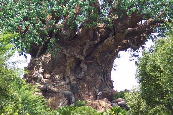 Shangrala's Disney Tree Of Life