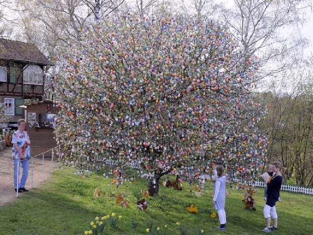 Shangrala's Volker's Easter Tree