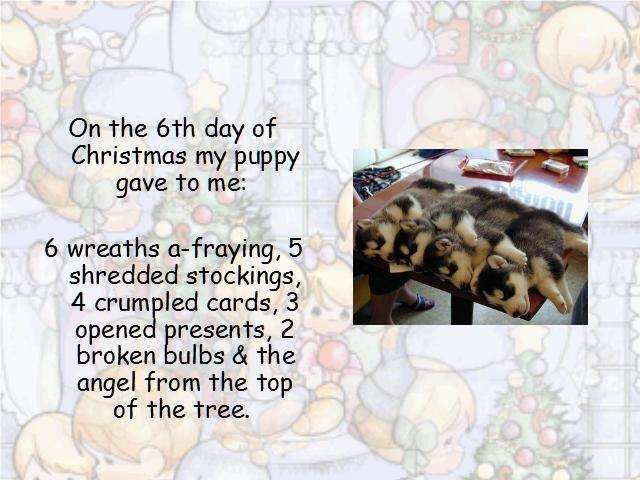 Shangrala's Puppy Days Of Christmas