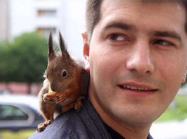 Shangrala's Rescued Squirrel