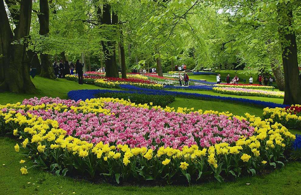 Shangrala's Spring In The Netherlands