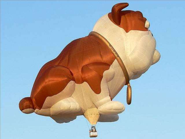 Shangrala's Hot Air Balloons 2