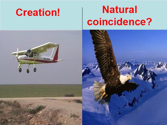 Shangrala's Creation VS Coincidence