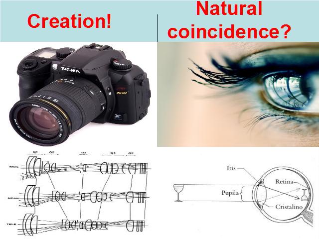 Shangrala's Creation VS Coincidence