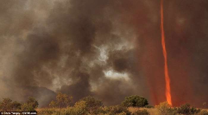 Shangrala's Australian Fire Tornado