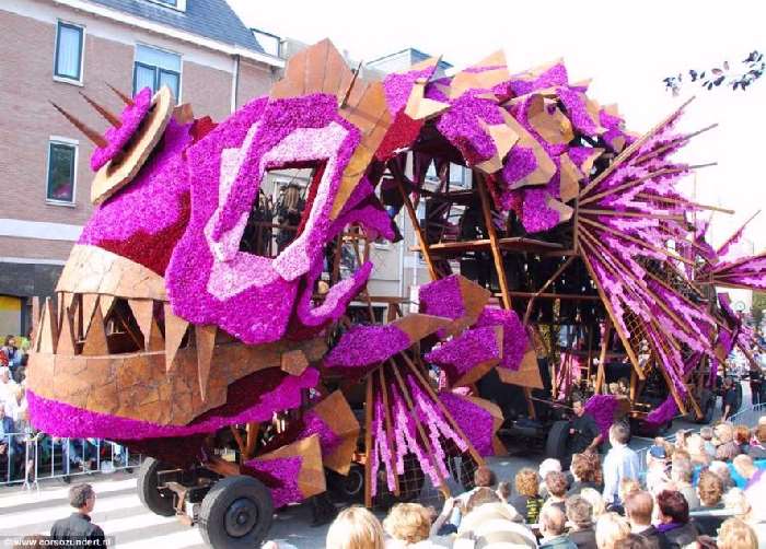 Shangrala's Holland Parade Of Flowers