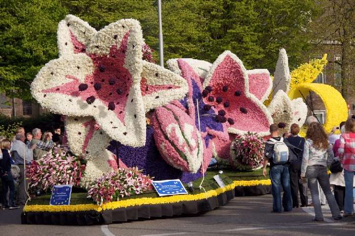 Shangrala's Holland Parade Of Flowers