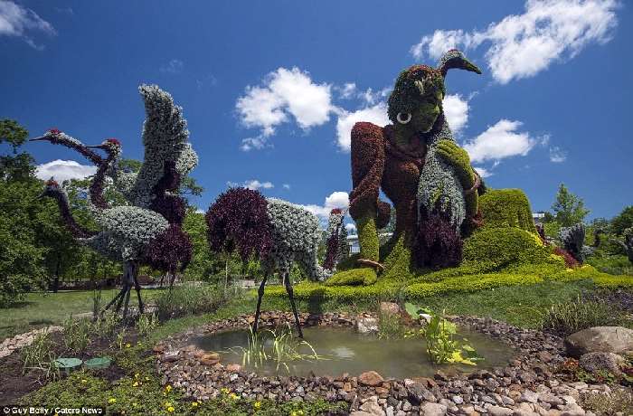 Shangrala's Montreal Mosaicultures Show