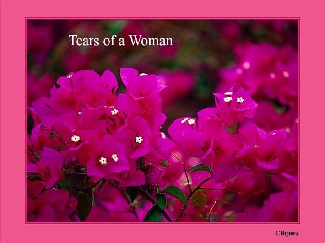 Shangrala's Tears Of A Woman
