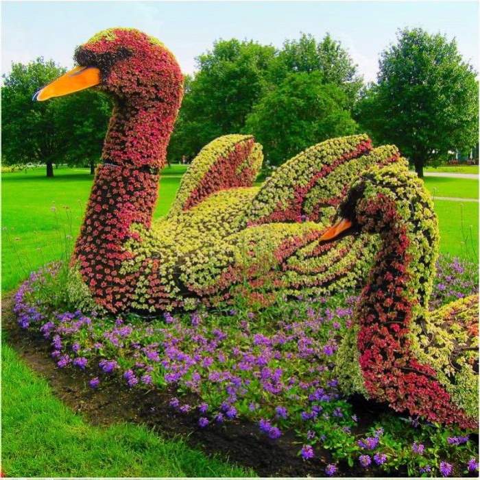 Shangrala's Montreal Mosaicultures Show 2