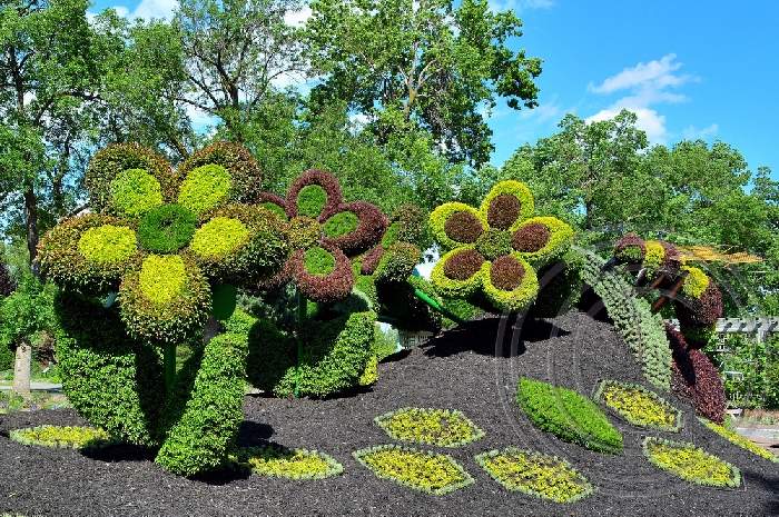 Shangrala's Montreal Mosaicultures Show 2