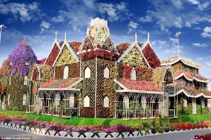 Shangrala's Dubai Miracle Garden