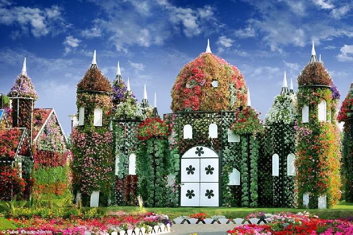Shangrala's Dubai Miracle Garden