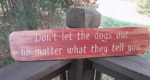Shangrala's Beware Of Dog Signs