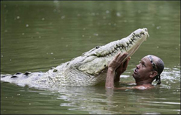 Shangrala's The Crocodile Man