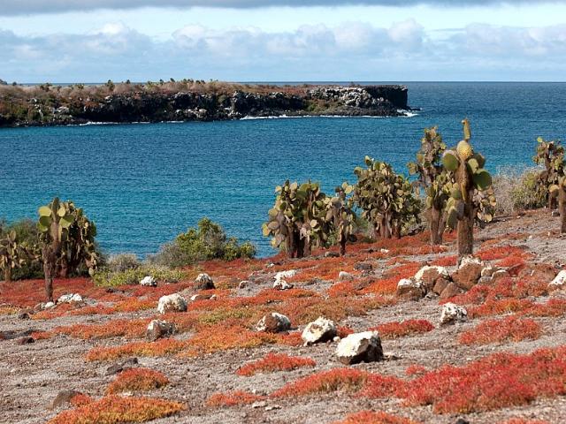 Shangrala's Beautiful Galapagos Islands