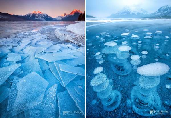 Shangrala's God's Ice Creations