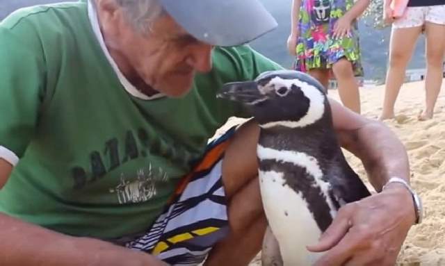 Shangrala's Penguin Rescue Story