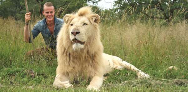 Shangrala's Lion And Tiger