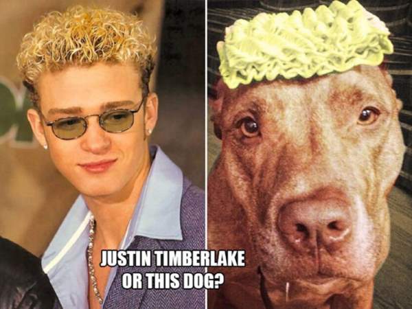 Celebrities: Who Wore It Better?