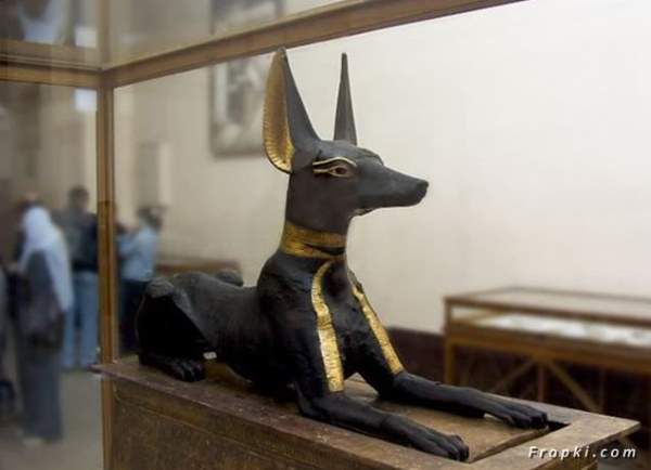 Shangrala's Egyptian Museum Cairo