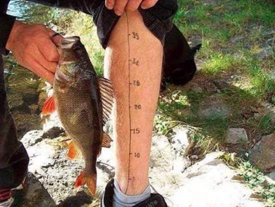 Humor With Fishing