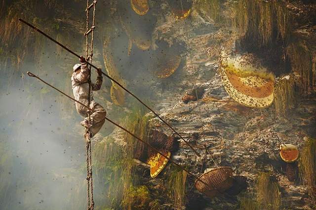 Shangrala's Honey Hunters Of Nepal