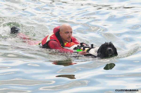 Shangrala's Water Rescue Dogs