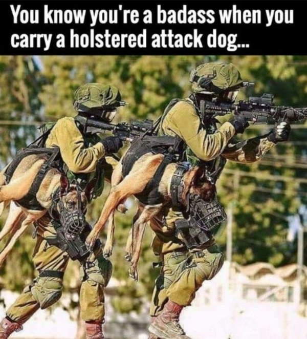 Shangrala's Military Dogs 3