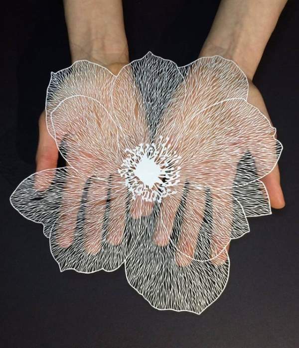 Shangrala's Cut Paper Art