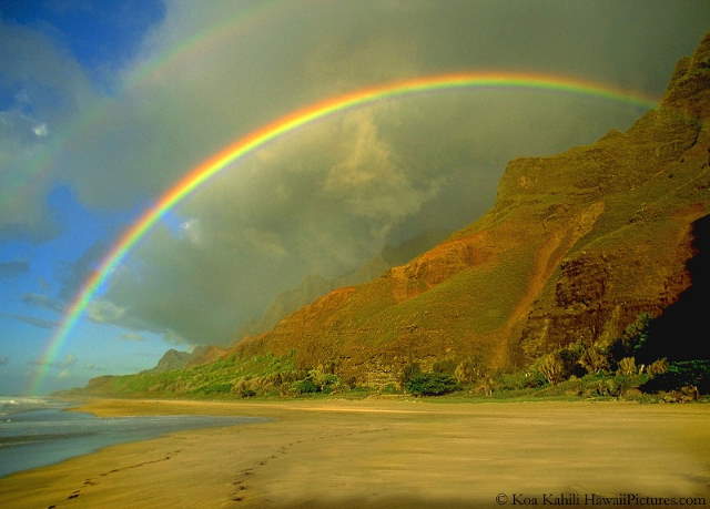 Shangrala's Beautiful Rainbows