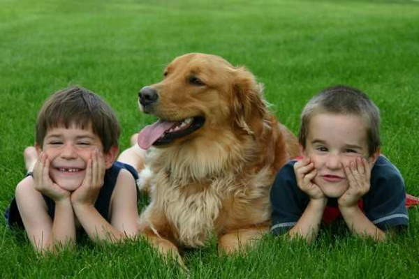 Shangrala's Why Dogs Are Good For Kids