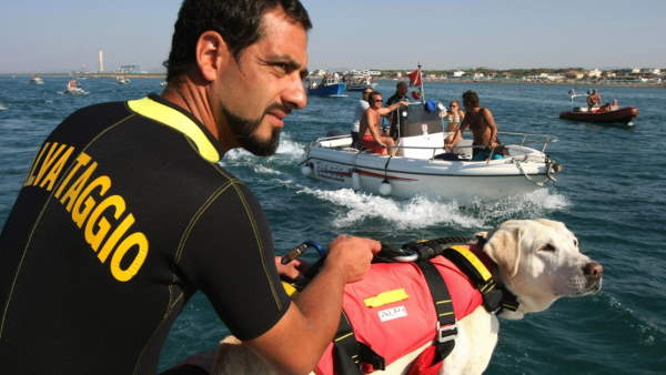 Shangrala's Italy's Lifeguard Dogs