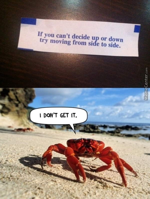 Shangrala's Funny Crabs