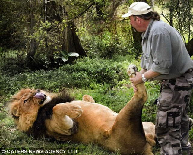 Shangrala's Lion Massages