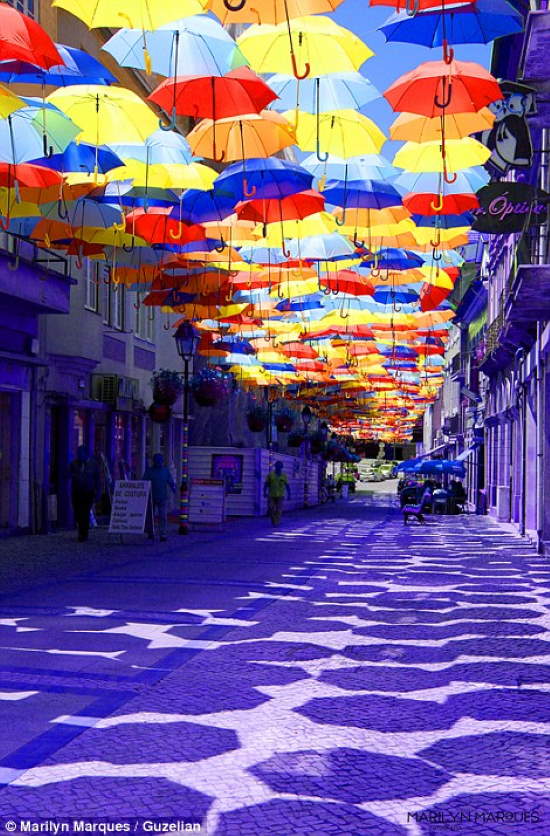 Shangrala's Umbrella Sky Project