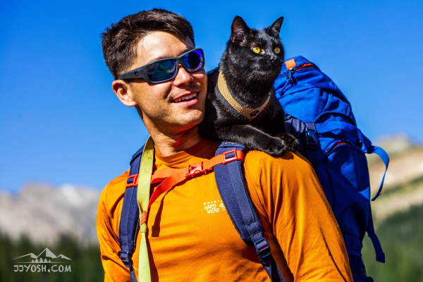 Shangrala's Backpack Cat 2