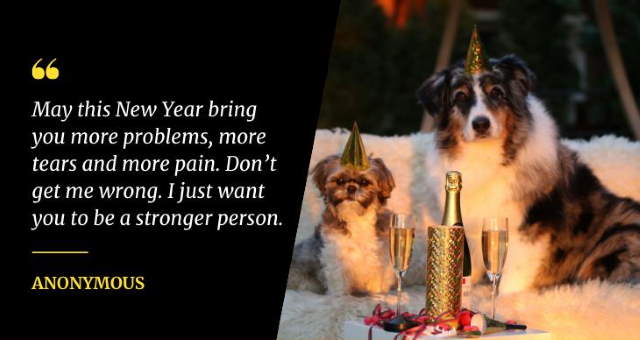 Shangrala's New Year Quotes