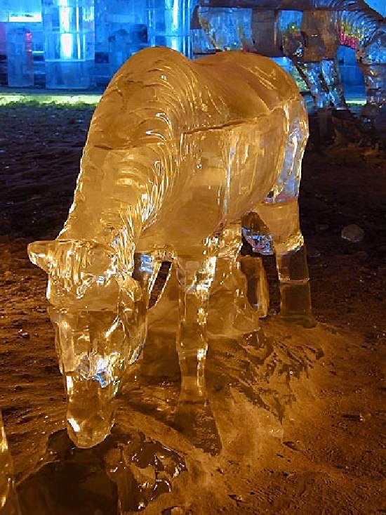 Shangrala's Ice Sculpture Art