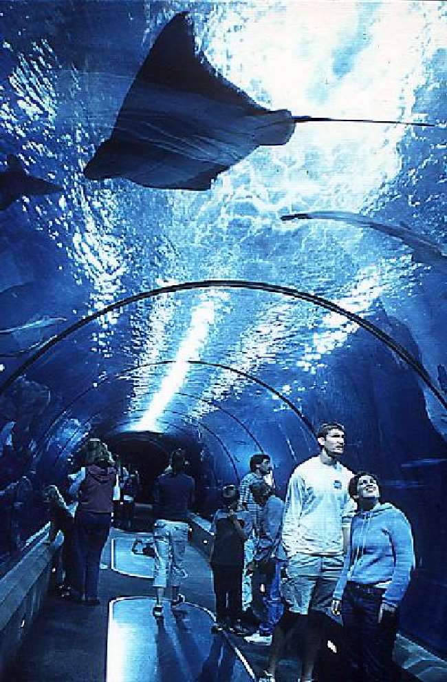 Shangrala's Oregon Coast Aquarium