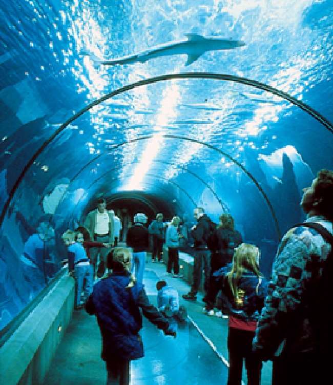 Shangrala's Oregon Coast Aquarium